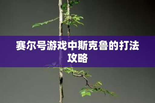 赛尔号游戏中斯克鲁的打法攻略