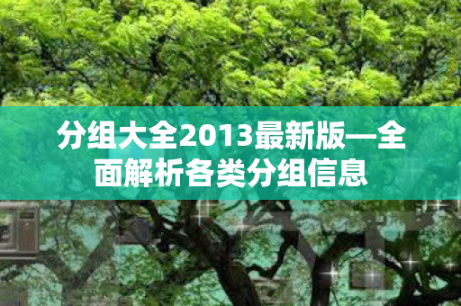 分组大全2013最新版—全面解析各类分组信息