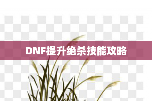 DNF提升绝杀技能攻略