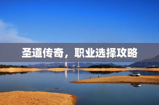 圣道传奇，职业选择攻略