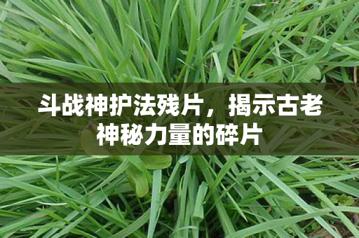 斗战神护法残片，揭示古老神秘力量的碎片
