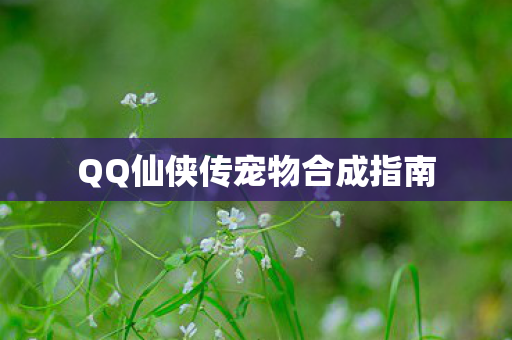 QQ仙侠传宠物合成指南 QQ仙侠传宠物合成指南