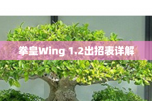 拳皇Wing 1.2出招表详解