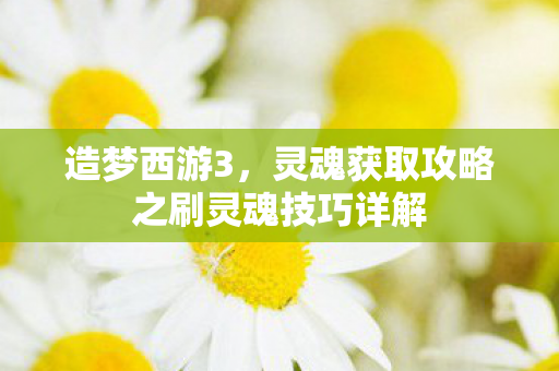 造梦西游3，灵魂获取攻略之刷灵魂技巧详解