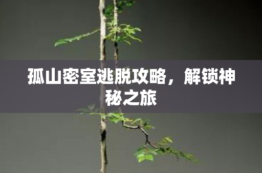 孤山密室逃脱攻略，解锁神秘之旅
