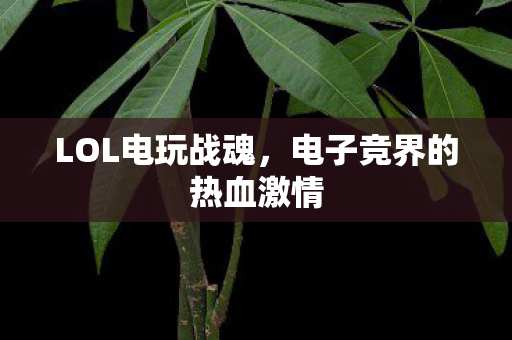 LOL电玩战魂，电子竞界的热血激情
