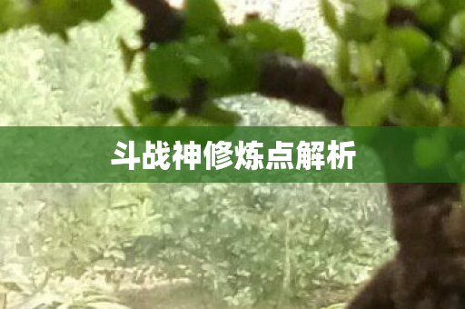 斗战神修炼点解析