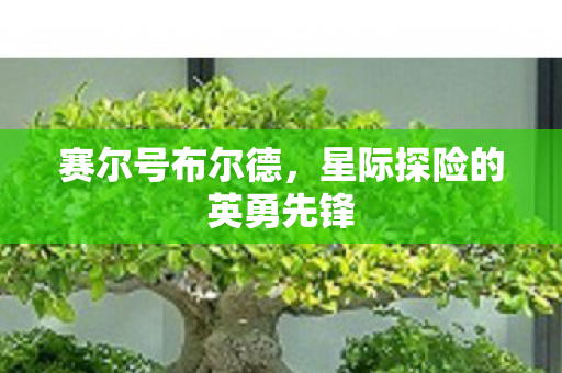 赛尔号布尔德，星际探险的英勇先锋