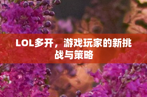 LOL多开，游戏玩家的新挑战与策略