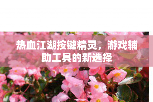 热血江湖按键精灵，游戏辅助工具的新选择