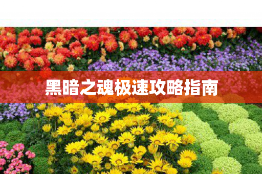 黑暗之魂极速攻略指南