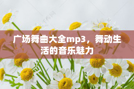 广场舞曲大全mp3，舞动生活的音乐魅力