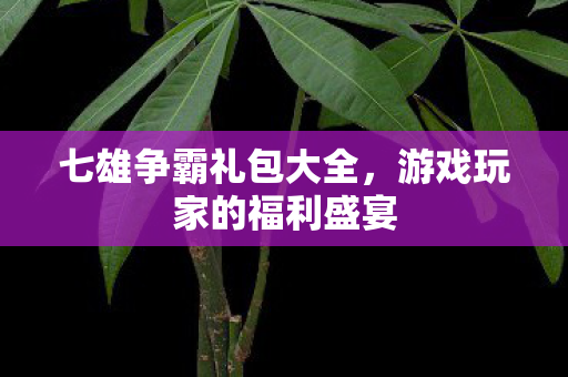 七雄争霸礼包大全，游戏玩家的福利盛宴