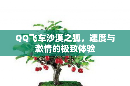 QQ飞车沙漠之狐，速度与激情的极致体验
