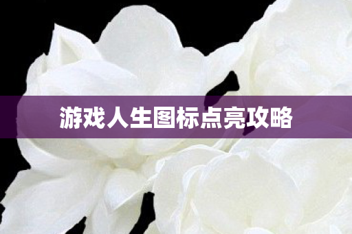 游戏人生图标点亮攻略
