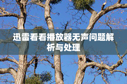 迅雷看看播放器无声问题解析与处理