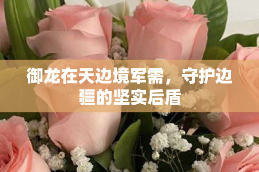 御龙在天边境军需，守护边疆的坚实后盾