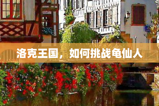 洛克王国，如何挑战龟仙人