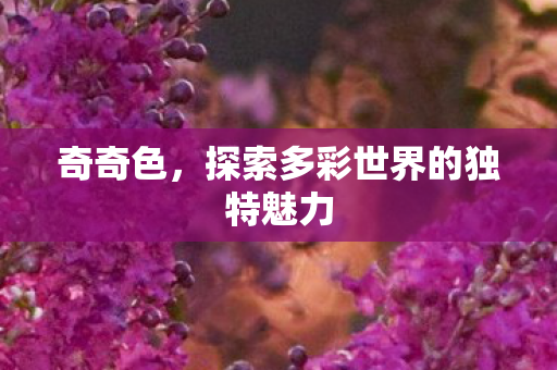 奇奇色，探索多彩世界的独特魅力