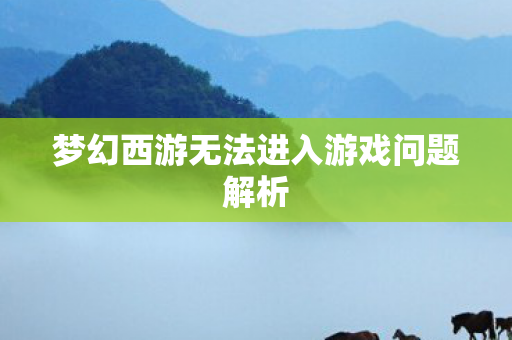 梦幻西游无法进入游戏问题解析