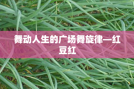 舞动人生的广场舞旋律—红豆红