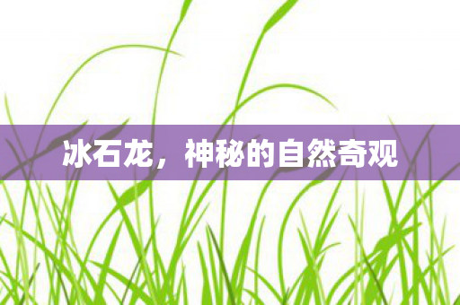 冰石龙，神秘的自然奇观