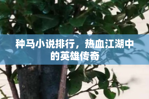 种马小说排行，热血江湖中的英雄传奇