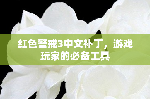 红色警戒3中文补丁,游戏玩家的必备工具 红色警戒3中文补丁,游戏玩家的必备工具