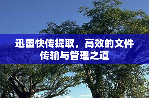 迅雷快传提取，高效的文件传输与管理之道