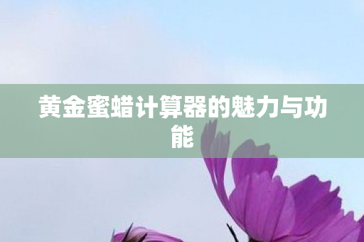 黄金蜜蜡计算器的魅力与功能