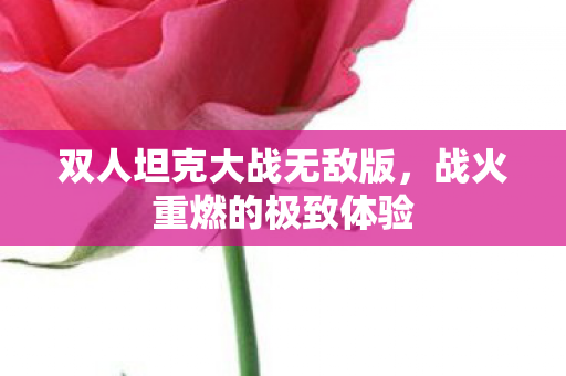 双人坦克大战无敌版，战火重燃的极致体验