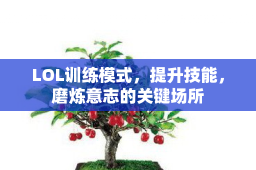 LOL训练模式，提升技能，磨炼意志的关键场所
