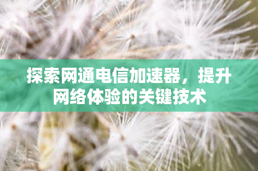 探索网通电信加速器，提升网络体验的关键技术