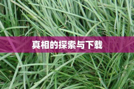 真相的探索与下载