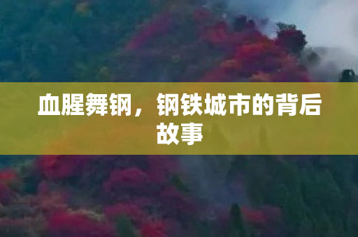 血腥舞钢，钢铁城市的背后故事