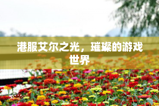 港服艾尔之光，璀璨的游戏世界