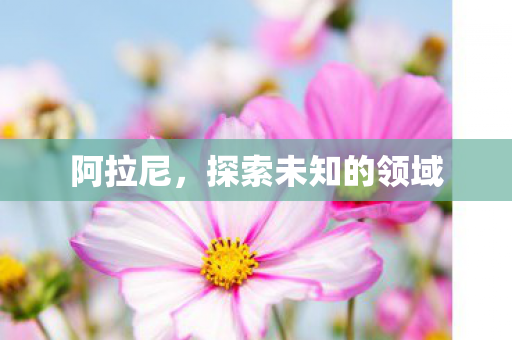 阿拉尼，探索未知的领域