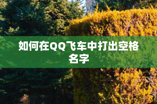 如何在QQ飞车中打出空格名字
