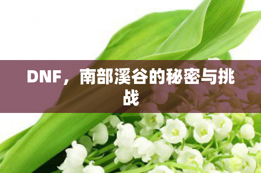 DNF，南部溪谷的秘密与挑战