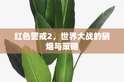 红色警戒2，世界大战的硝烟与策略