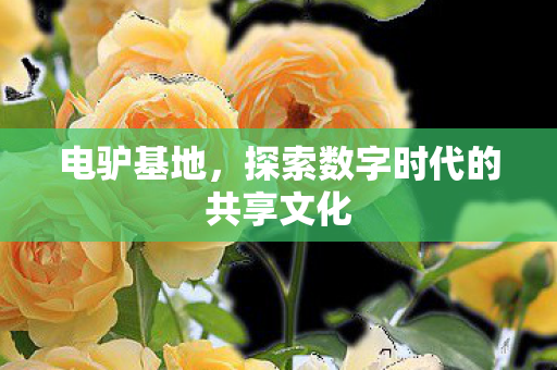 电驴基地，探索数字时代的共享文化