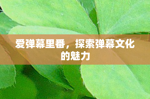 爱弹幕里番，探索弹幕文化的魅力