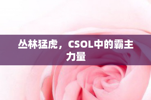 丛林猛虎，CSOL中的霸主力量