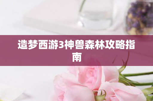 造梦西游3神兽森林攻略指南