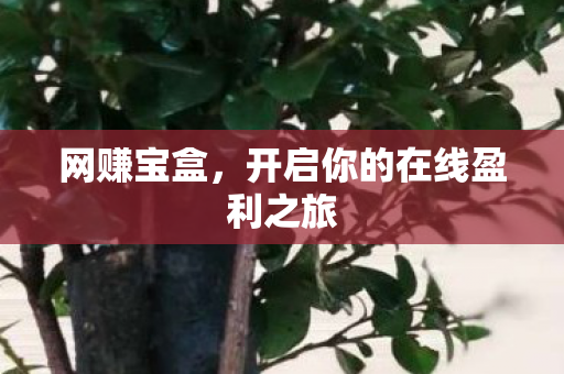 网赚宝盒，开启你的在线盈利之旅