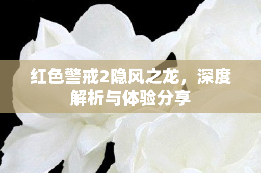 红色警戒2隐风之龙，深度解析与体验分享