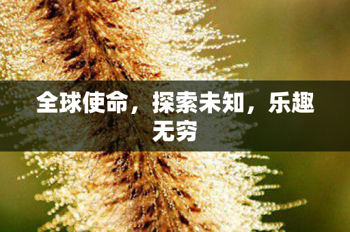 全球使命，探索未知，乐趣无穷
