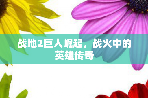 战地2巨人崛起，战火中的英雄传奇