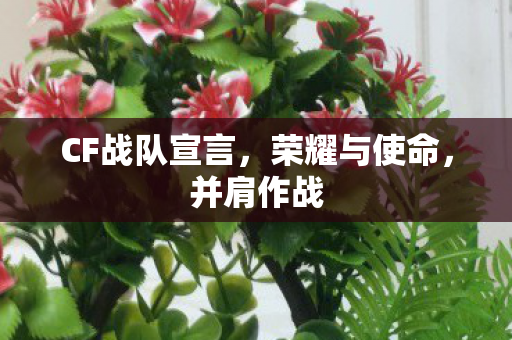CF战队宣言，荣耀与使命，并肩作战