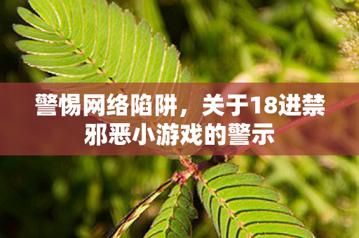 警惕网络陷阱，关于18进禁邪恶小游戏的警示